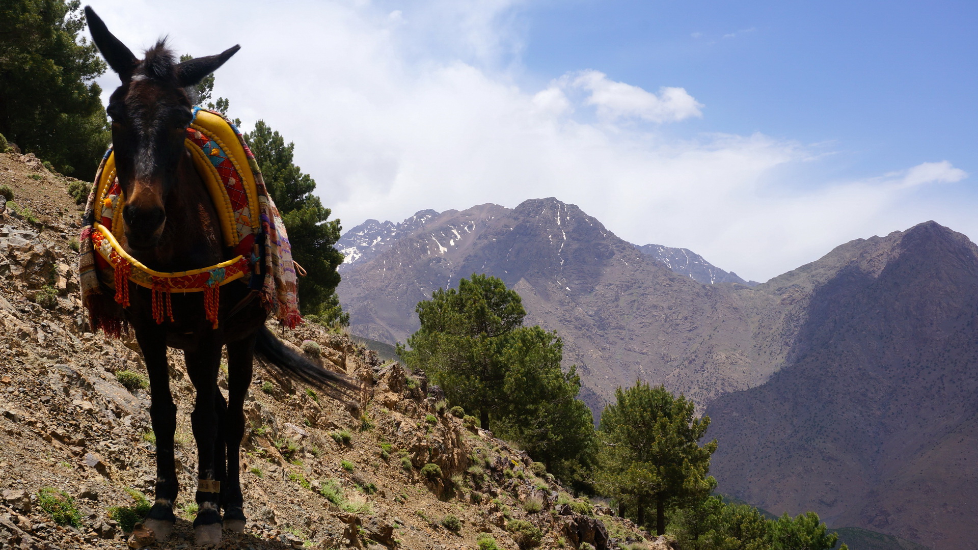 pathfinders treks - berber villages and valleys